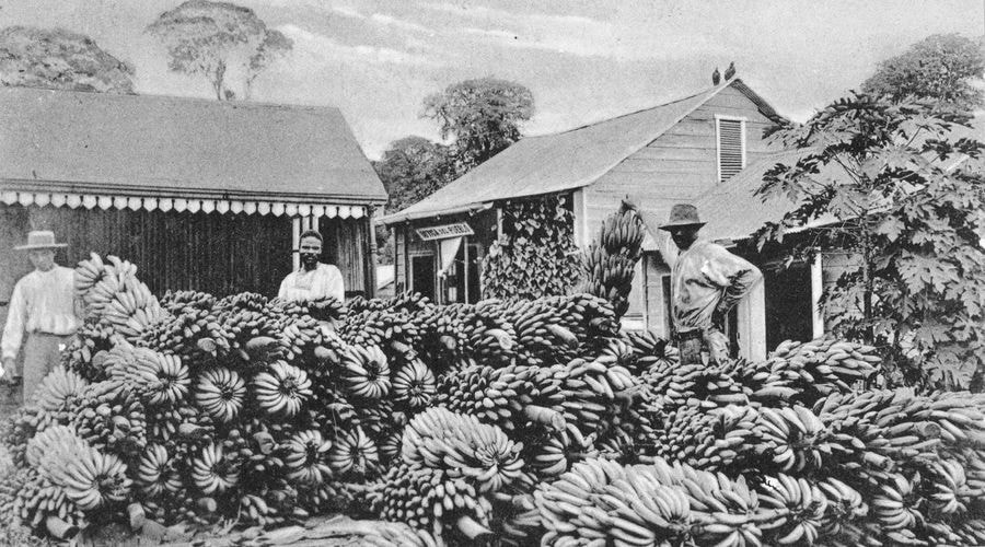 United Fruit Company, la empresa frutera que controló el mercado centroamericano por la mayor parte del siglo XX.